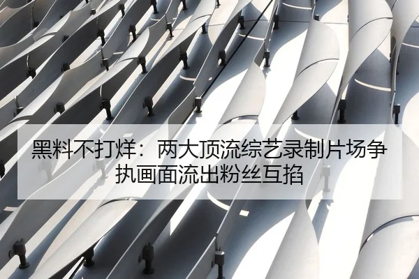 黑料不打烊：两大顶流综艺录制片场争执画面流出粉丝互掐